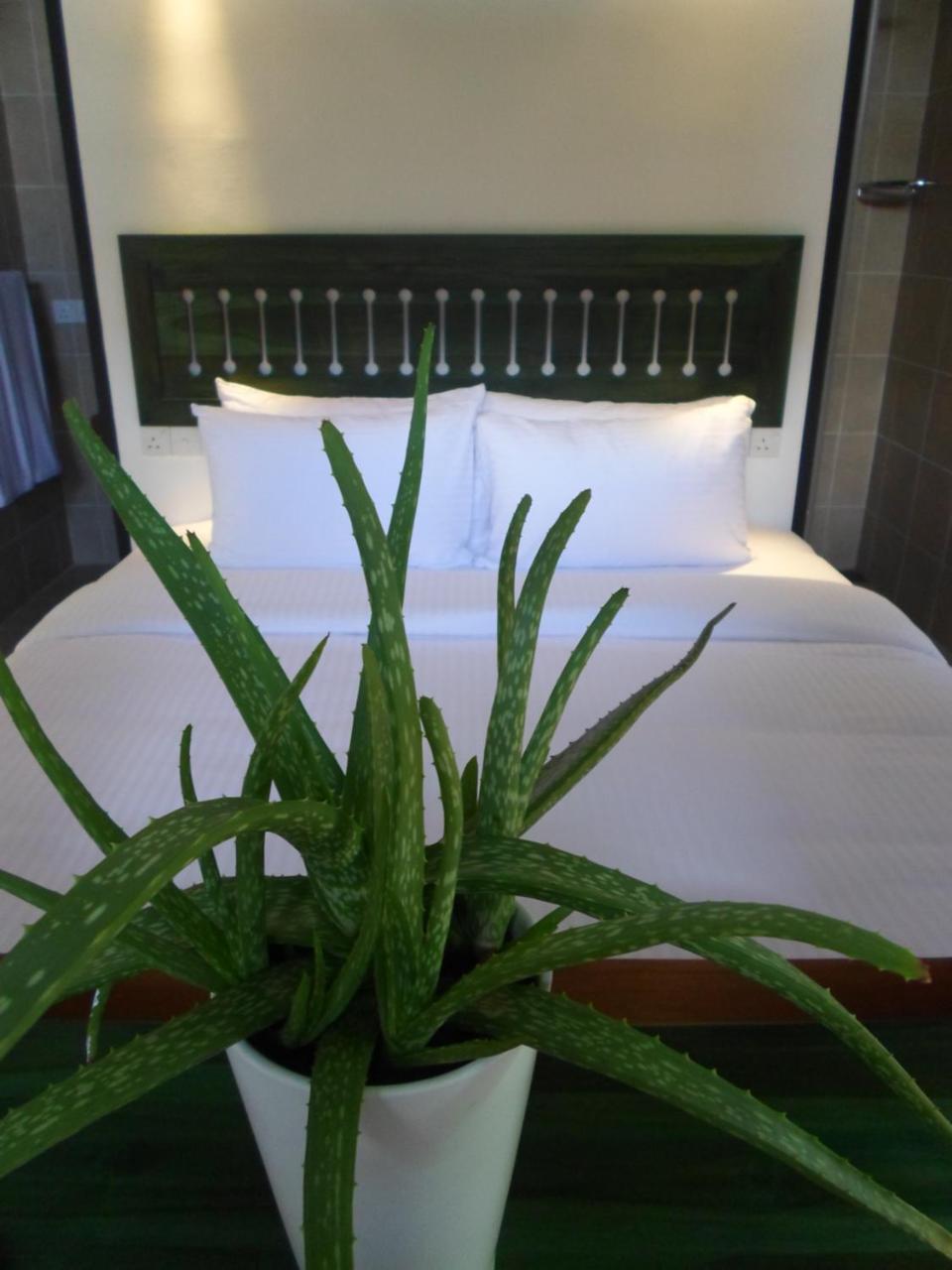 בלהולויה Sennya Resorts מראה חיצוני תמונה